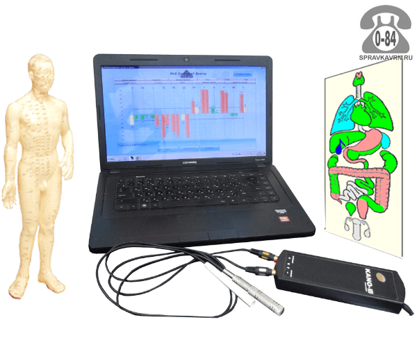 Диагностика организма компьютерная