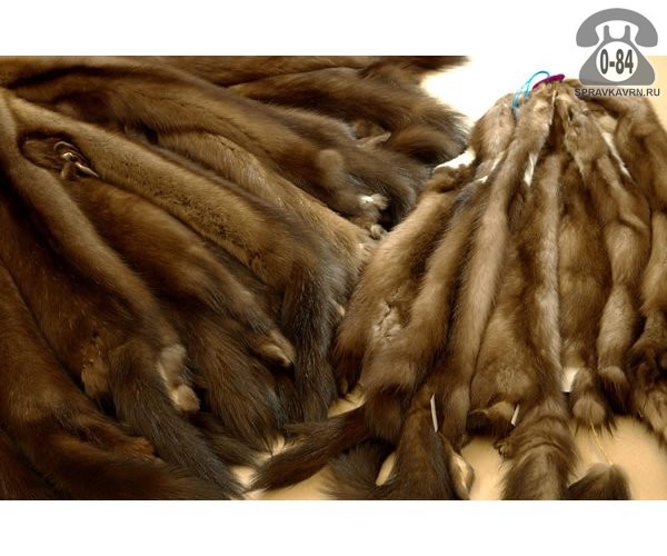 Мех натуральный
