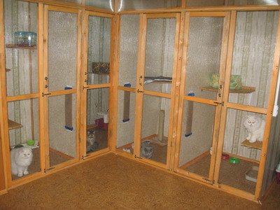 Гостиница для животных Воронеж. Зоогостиница в Воронеже.