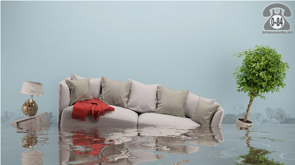 Оценка ущерба